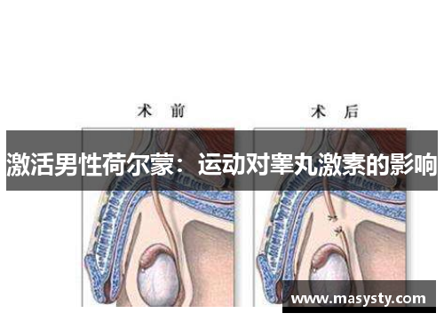 激活男性荷尔蒙：运动对睾丸激素的影响