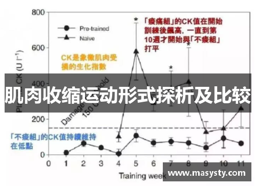 肌肉收缩运动形式探析及比较